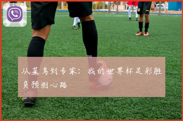 从菜鸟到专家：我的世界杯足彩胜负预测心路