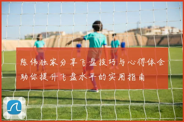 陈伟独家分享飞盘技巧与心得体会助你提升飞盘水平的实用指南